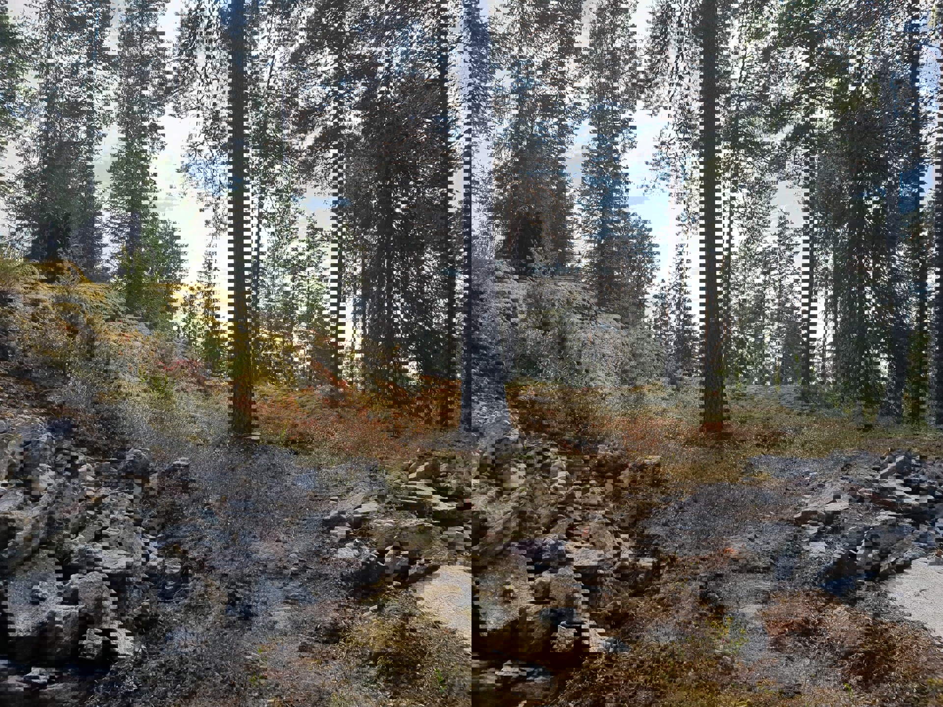 Åpning av bygdeborgen ved Vålerbråtan i Fenstad